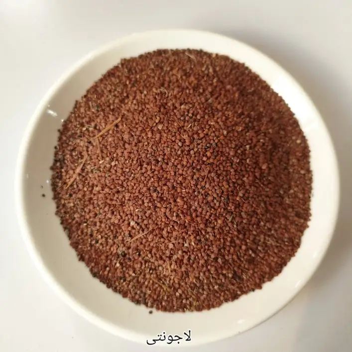 <p class="ql-align-right" dir="rtl"><em>اردو نام:</em> لاجونتی</p><p> <em>Roman Urdu:</em> Lajwanti</p><p> <em>انگریزی نام:</em> Touch-Me-Not Plant / Sensitive Plant</p><p> <em>ہندی نام:</em> लाजवंती / छुईमुई</p><p><br></p>